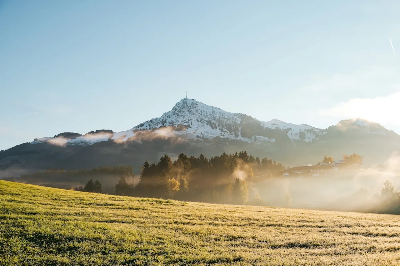 Almwiese vor den Kitzbüheler Alpen