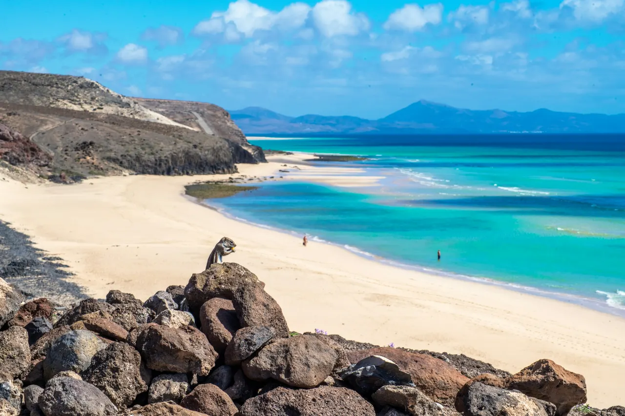 Sandstrand und Atlantik auf Fuerteventura